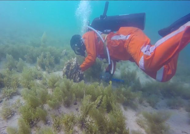 ��ҳ- yl6809���������й��ٷ���վ