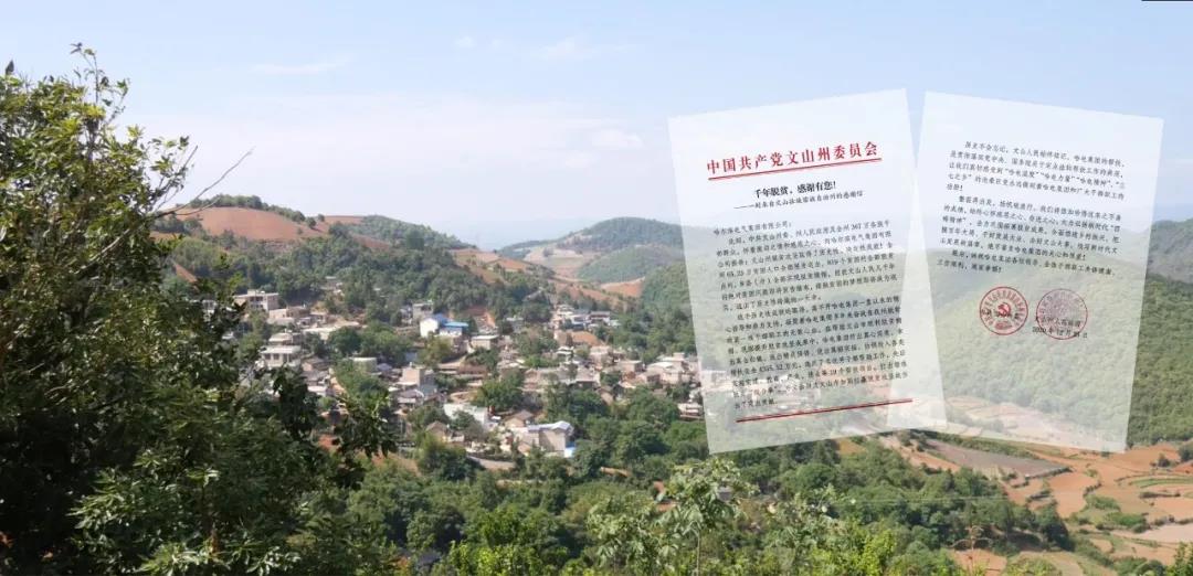 ��ҳ- yl6809���������й��ٷ���վ