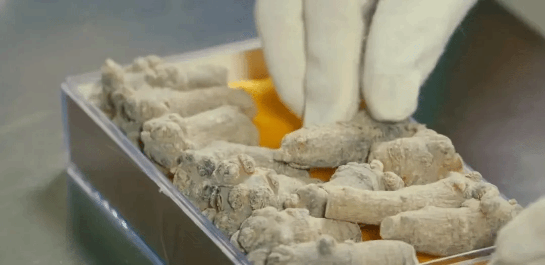 ��ҳ- yl6809���������й��ٷ���վ