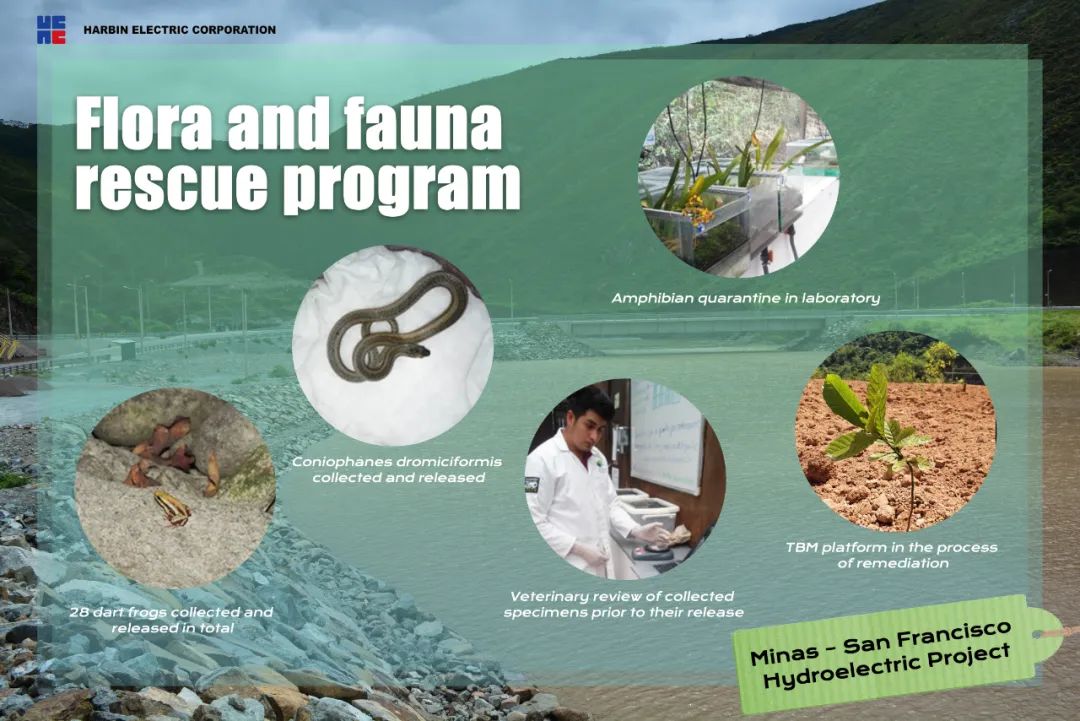 ��ҳ- yl6809���������й��ٷ���վ