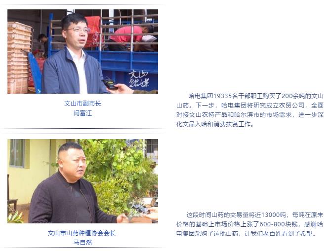 ��ҳ- yl6809���������й��ٷ���վ