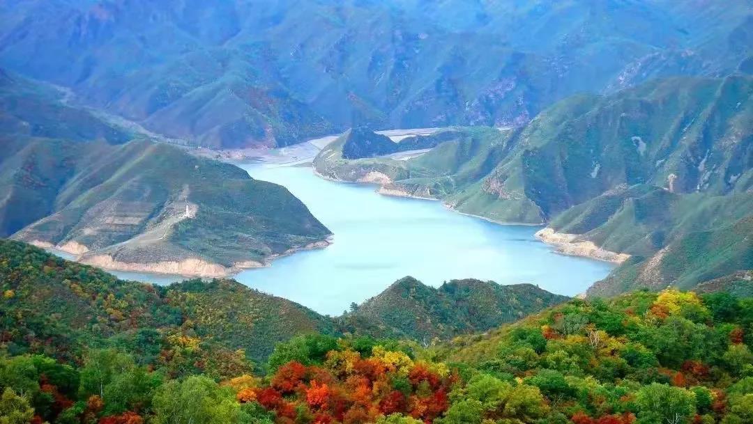 ��ҳ- yl6809���������й��ٷ���վ