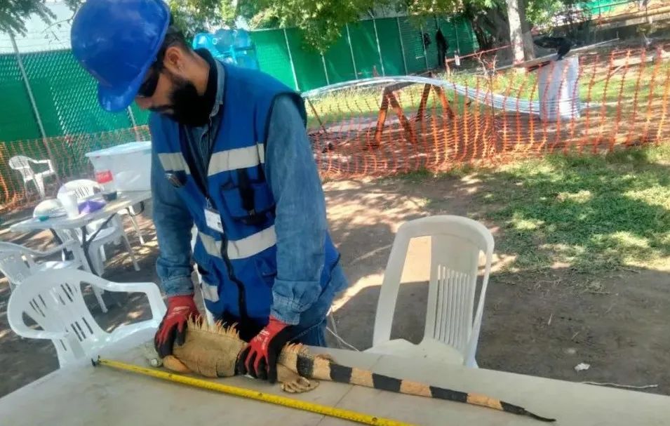 ��ҳ- yl6809���������й��ٷ���վ