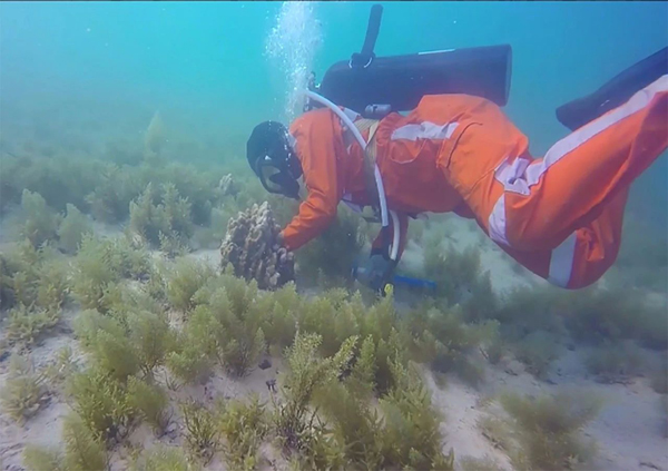 ��ҳ- yl6809���������й��ٷ���վ