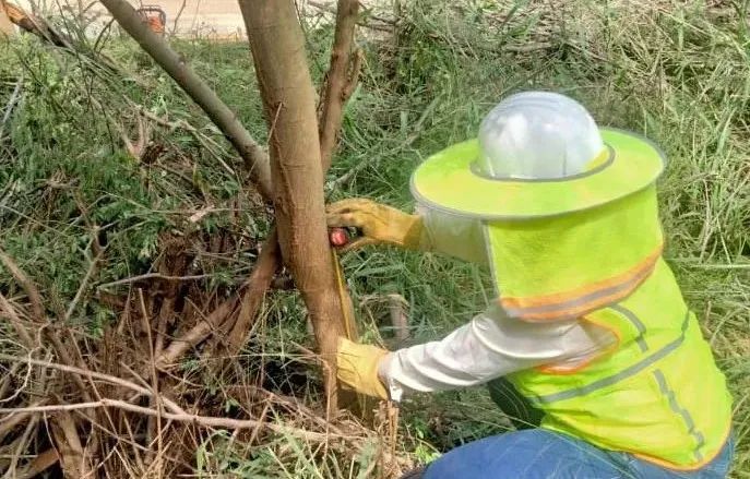 ��ҳ- yl6809���������й��ٷ���վ