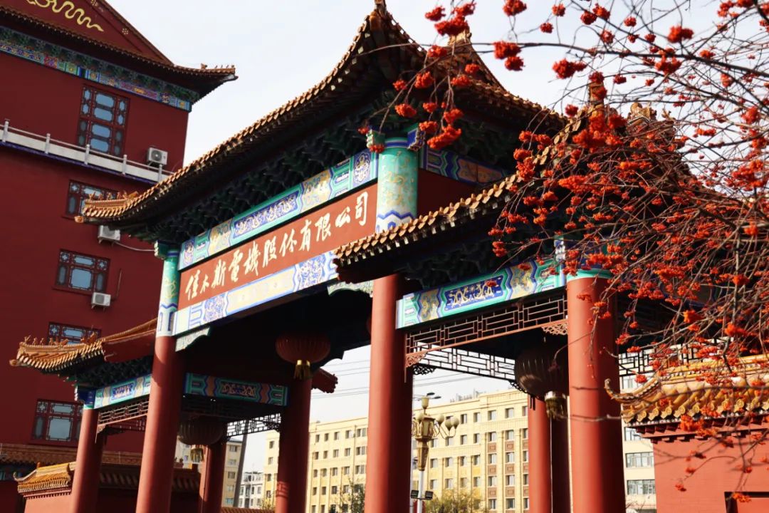 ��ҳ- yl6809���������й��ٷ���վ