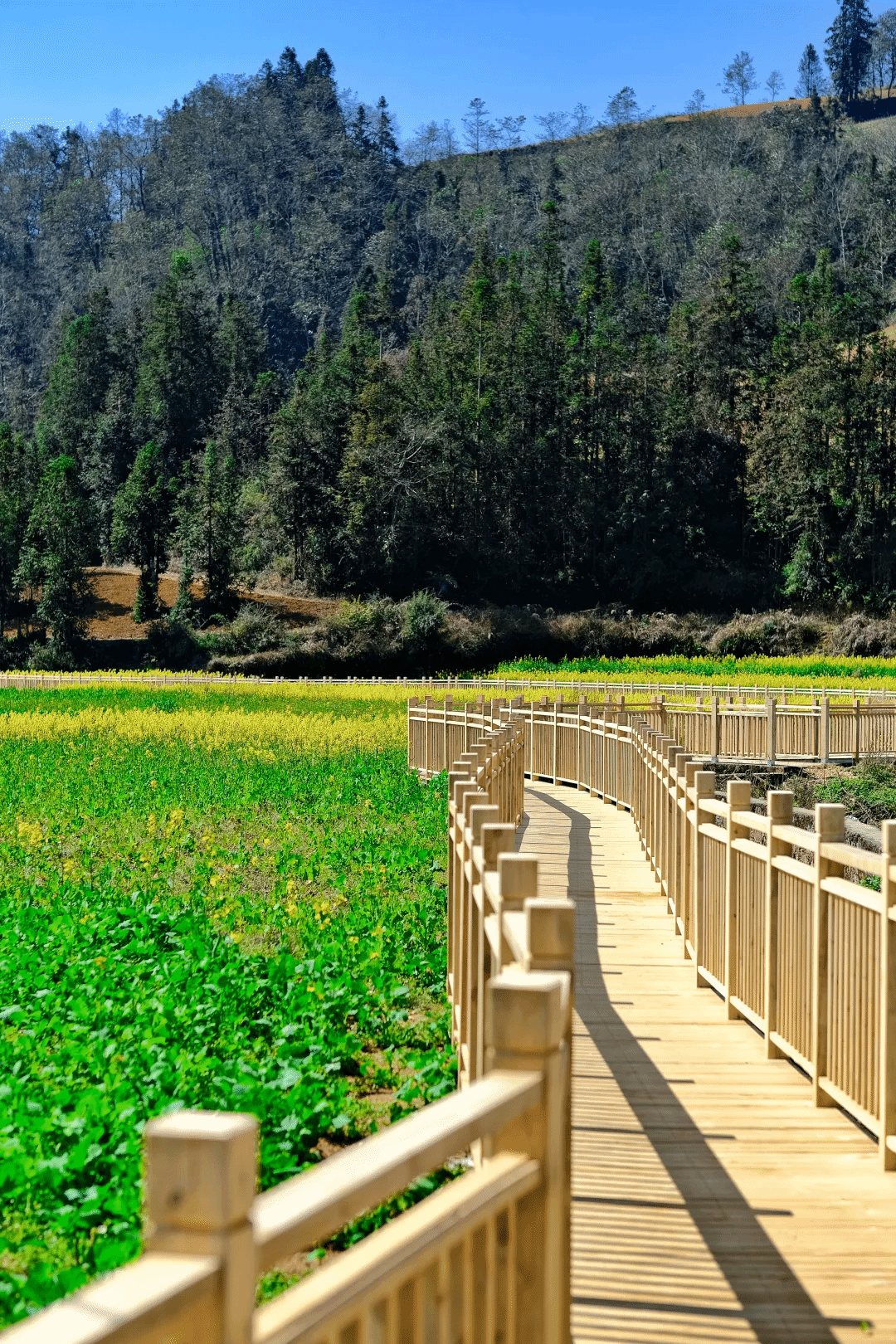 ��ҳ- yl6809���������й��ٷ���վ