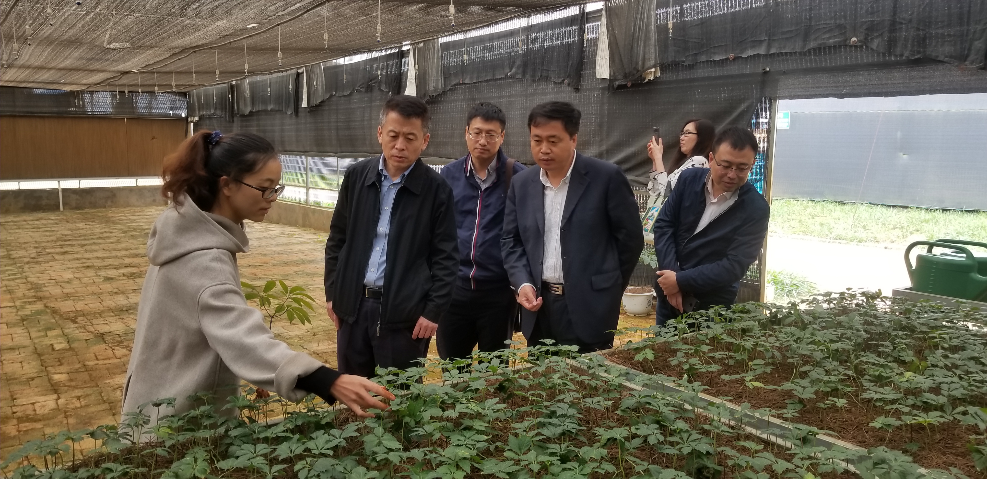 ��ҳ- yl6809���������й��ٷ���վ