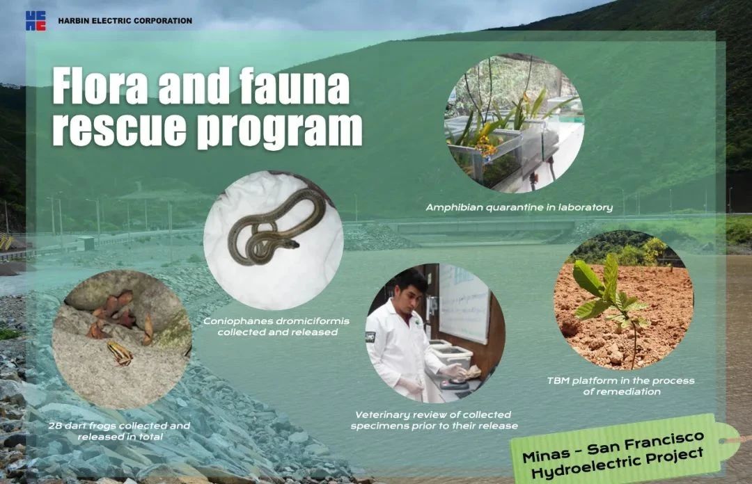 ��ҳ- yl6809���������й��ٷ���վ