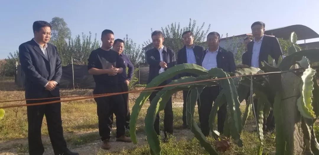 ��ҳ- yl6809���������й��ٷ���վ