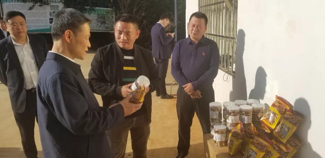 ��ҳ- yl6809���������й��ٷ���վ