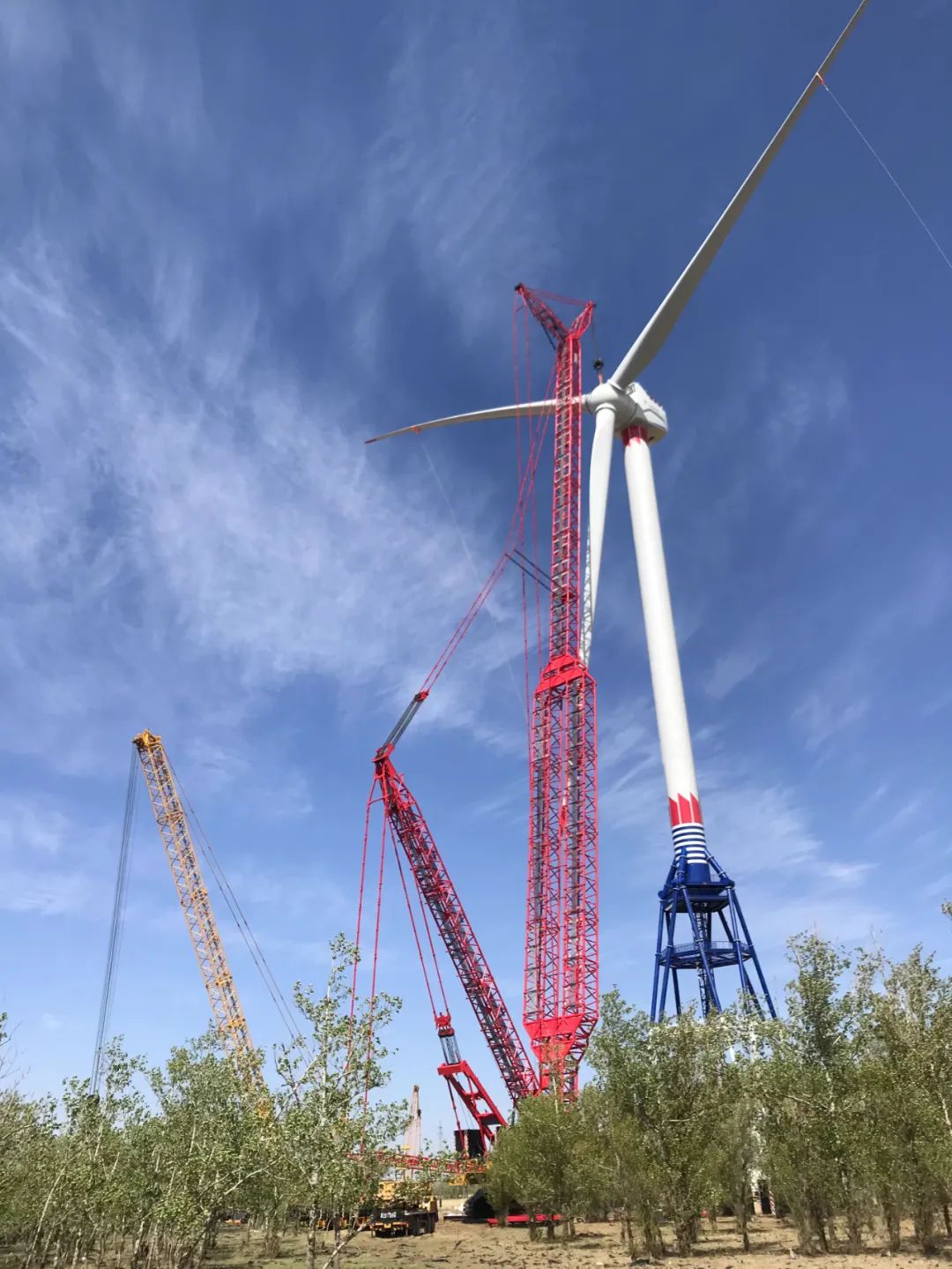 ��ҳ- yl6809���������й��ٷ���վ