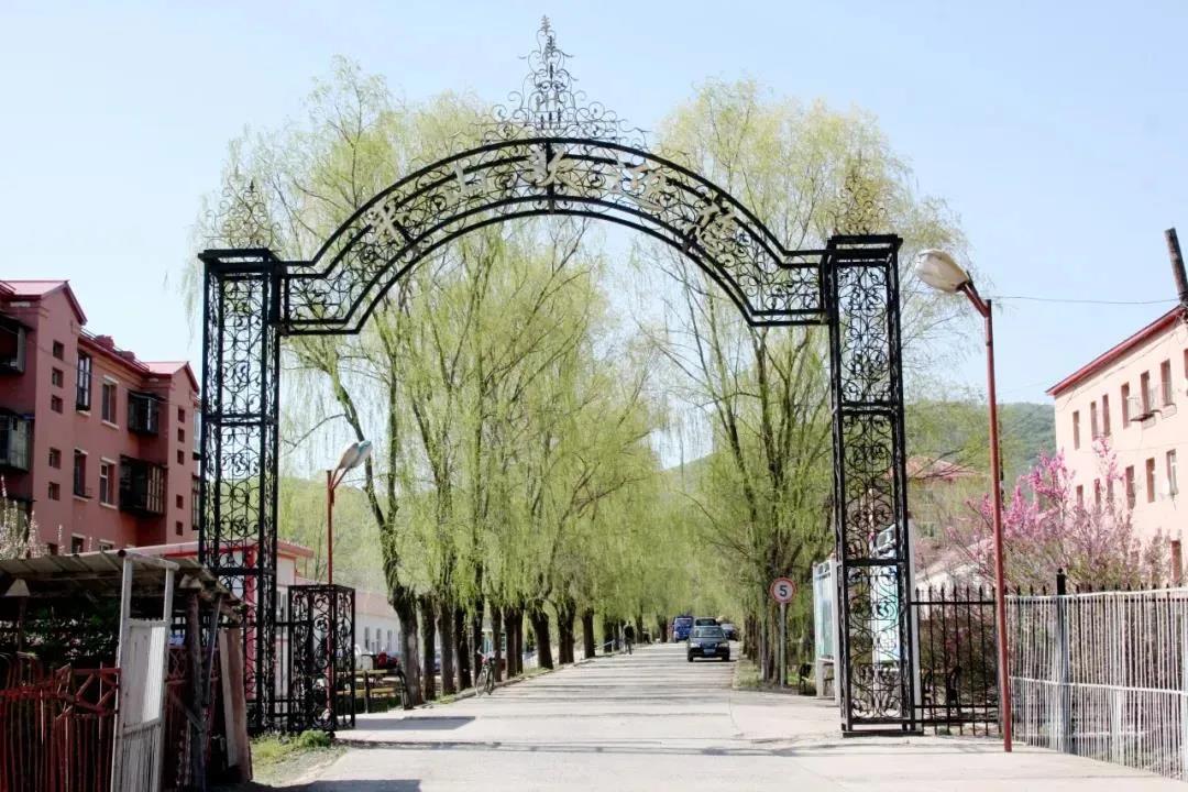 ��ҳ- yl6809���������й��ٷ���վ