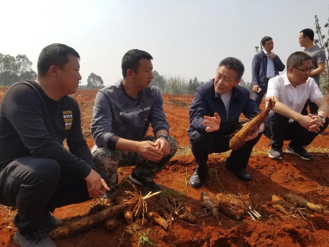 ��ҳ- yl6809���������й��ٷ���վ