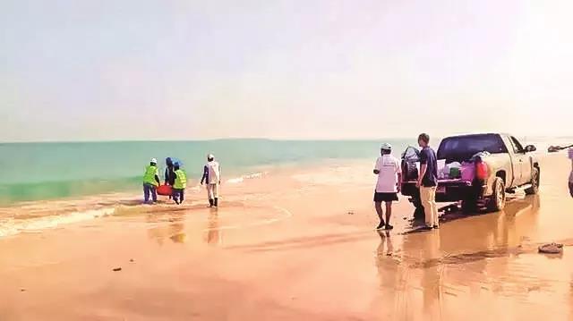 ��ҳ- yl6809���������й��ٷ���վ