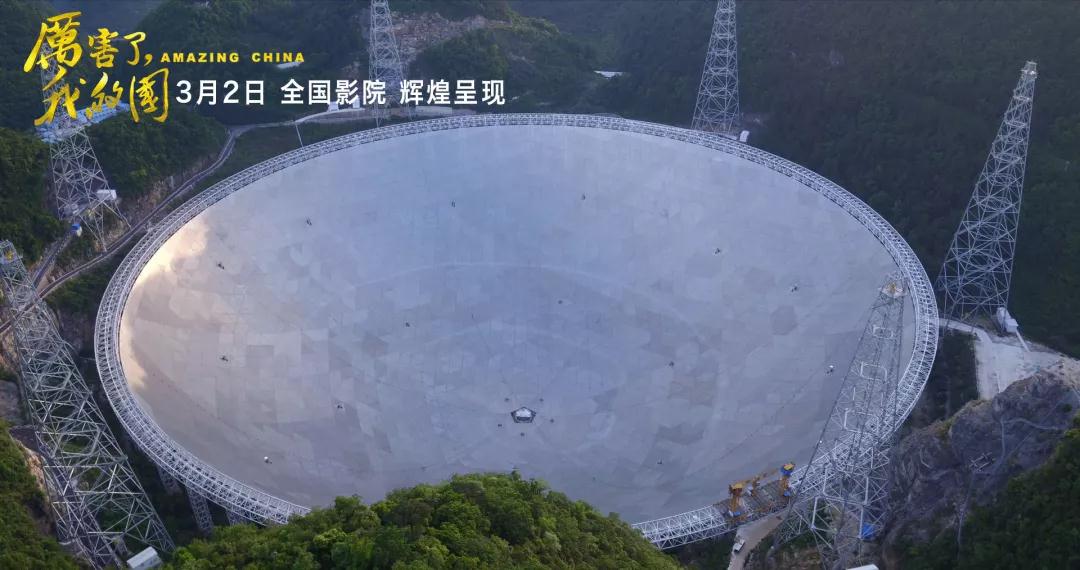 ��ҳ- yl6809���������й��ٷ���վ